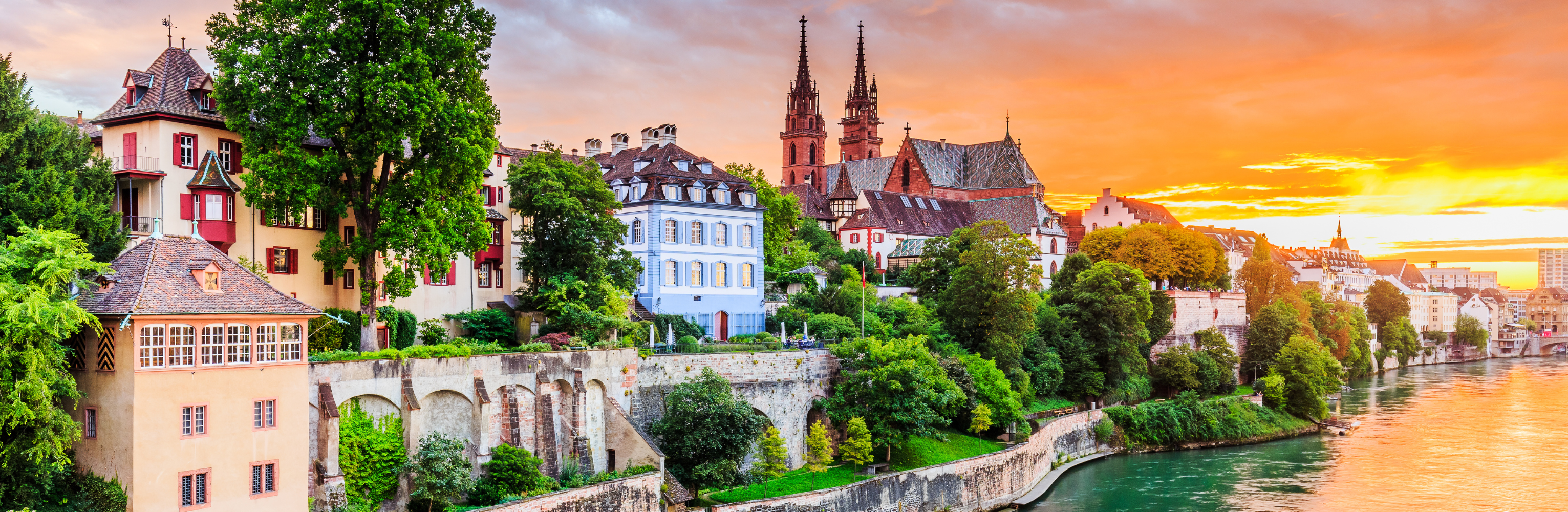 Captivating Rhine