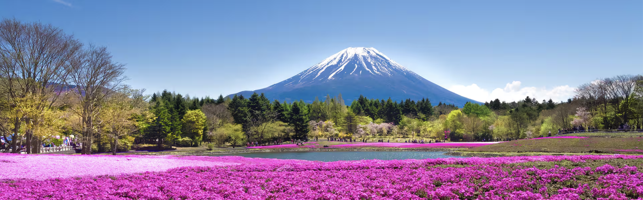 Asia: Kochi, Jeju & Nagoya